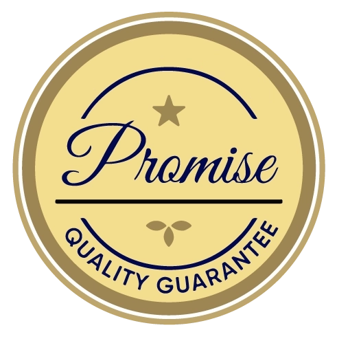 Promise-book.webp